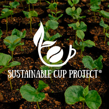 Sustainable Cup Project